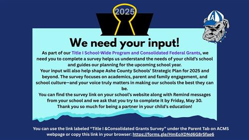 Title I Survey